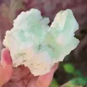specimen video