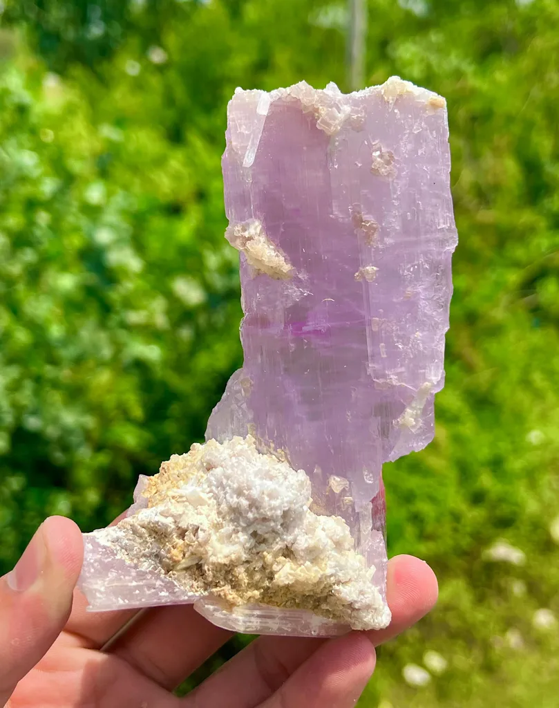 Natural terminated kunzite Specimen. image
