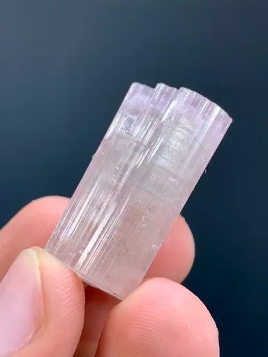 specimen video