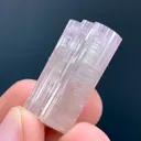 specimen video