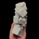 specimen video