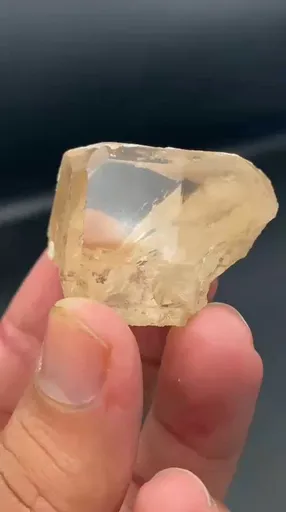 specimen video