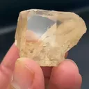 specimen video