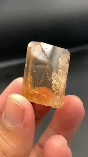 specimen video