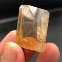 specimen video