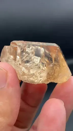 specimen video