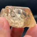 specimen video