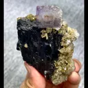 specimen video