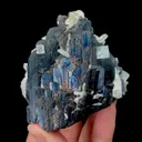 specimen video