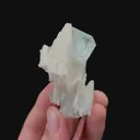 specimen video