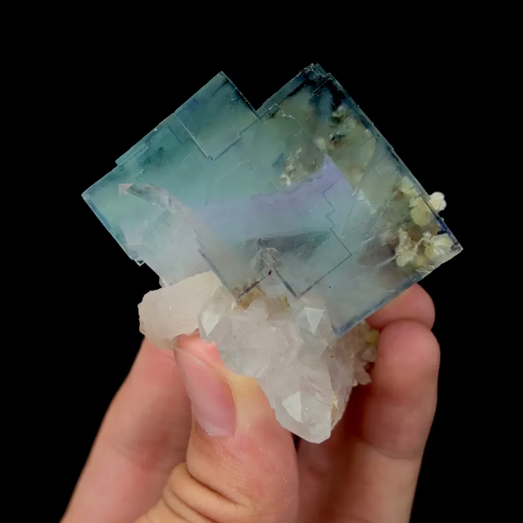 specimen video
