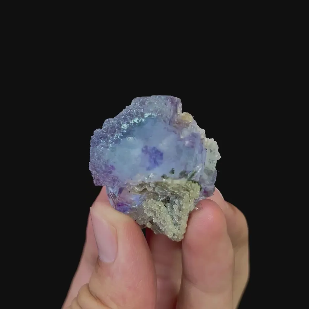 specimen video