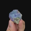 specimen video