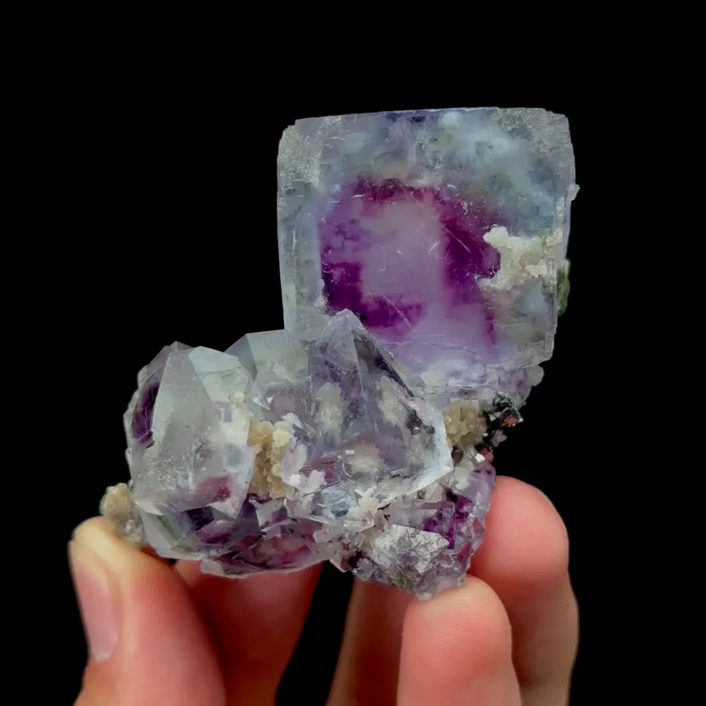 specimen video