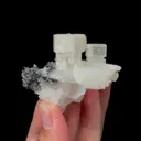 specimen video