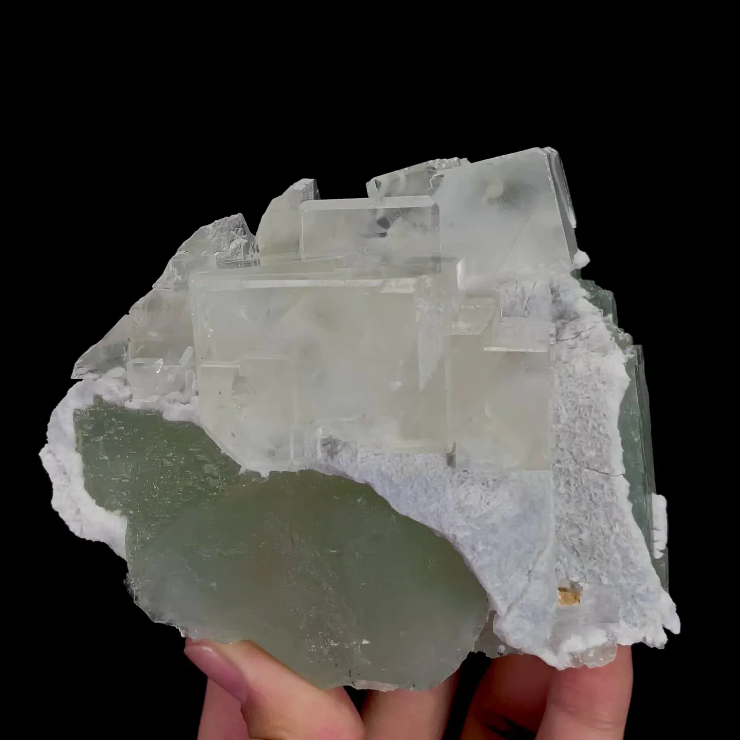 specimen video