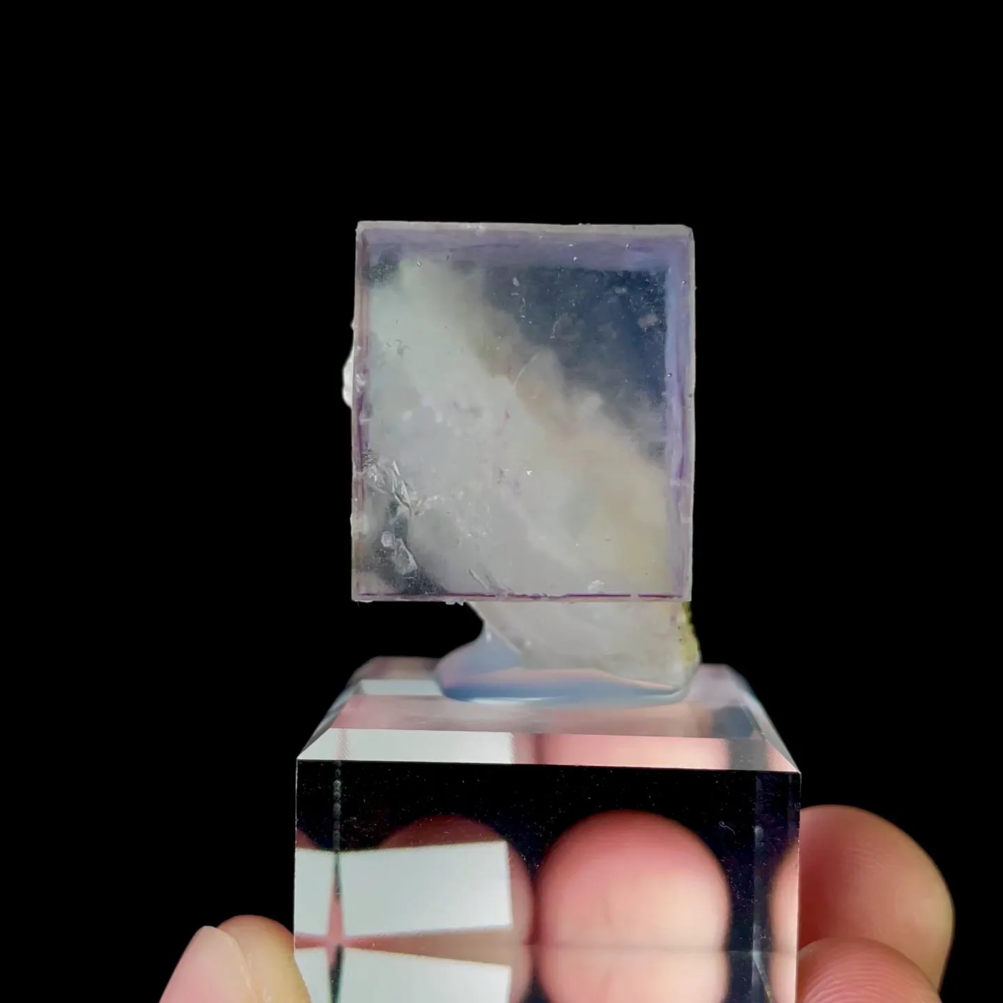specimen video