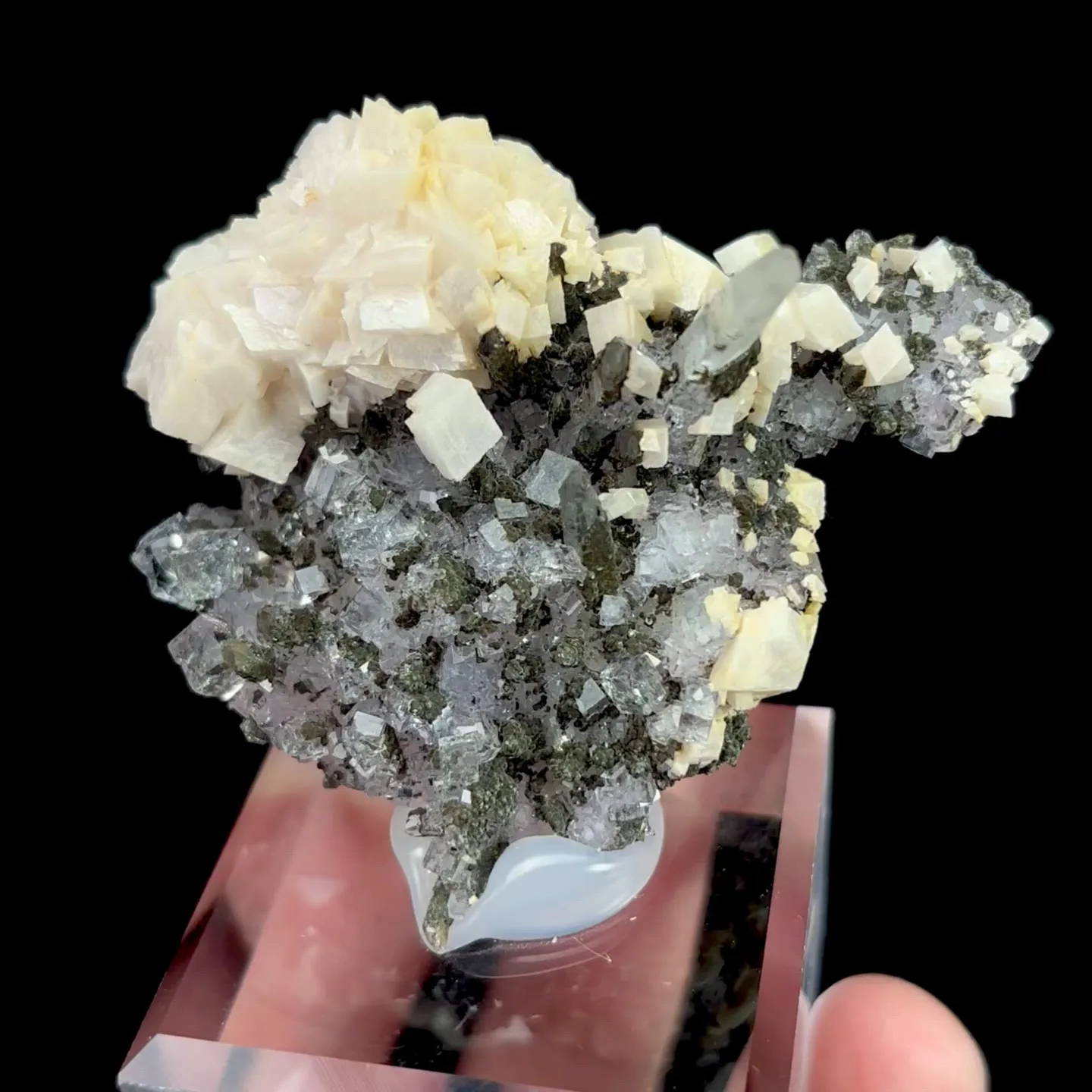 specimen video
