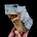 specimen video
