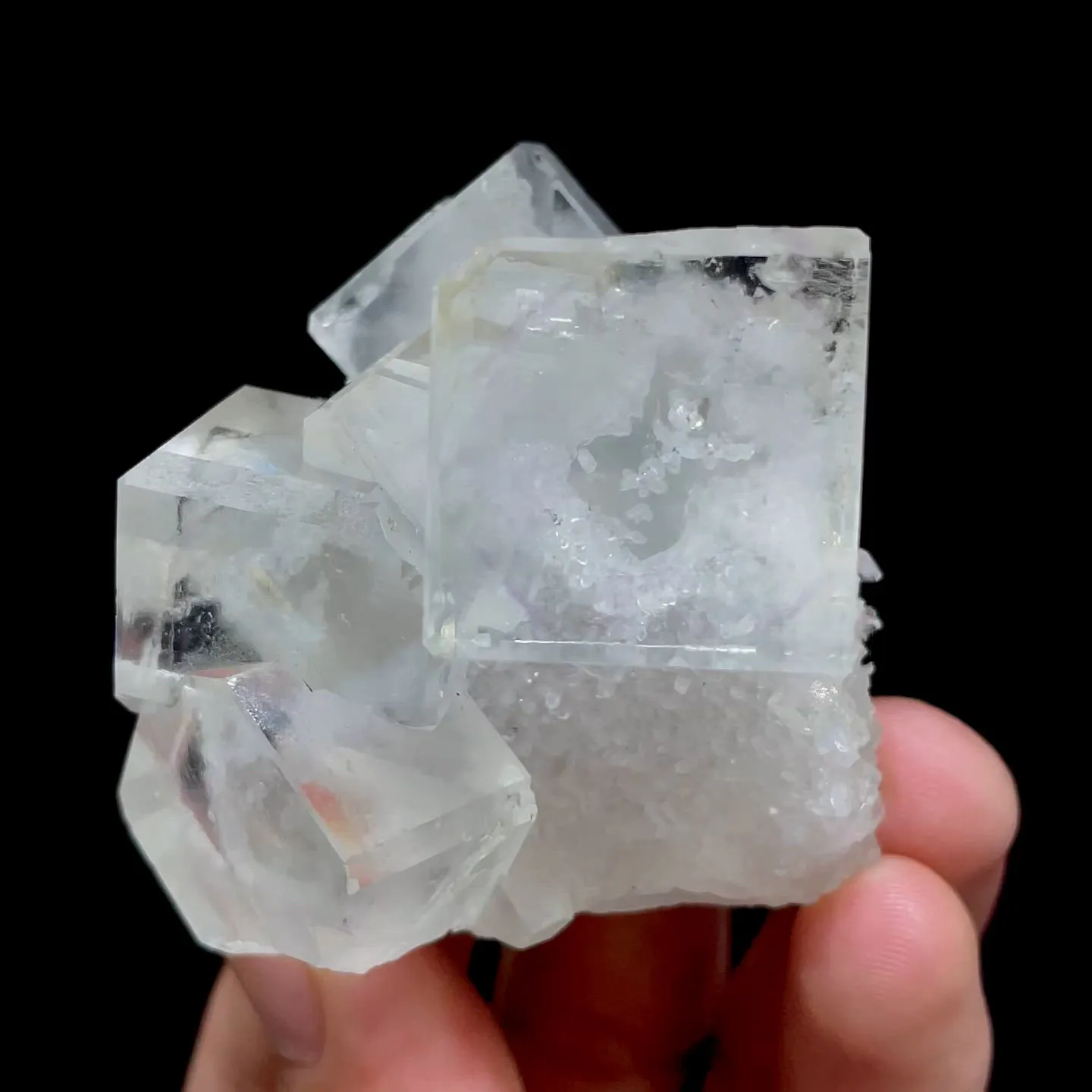 specimen video