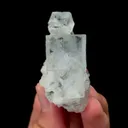 specimen video