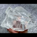 specimen video