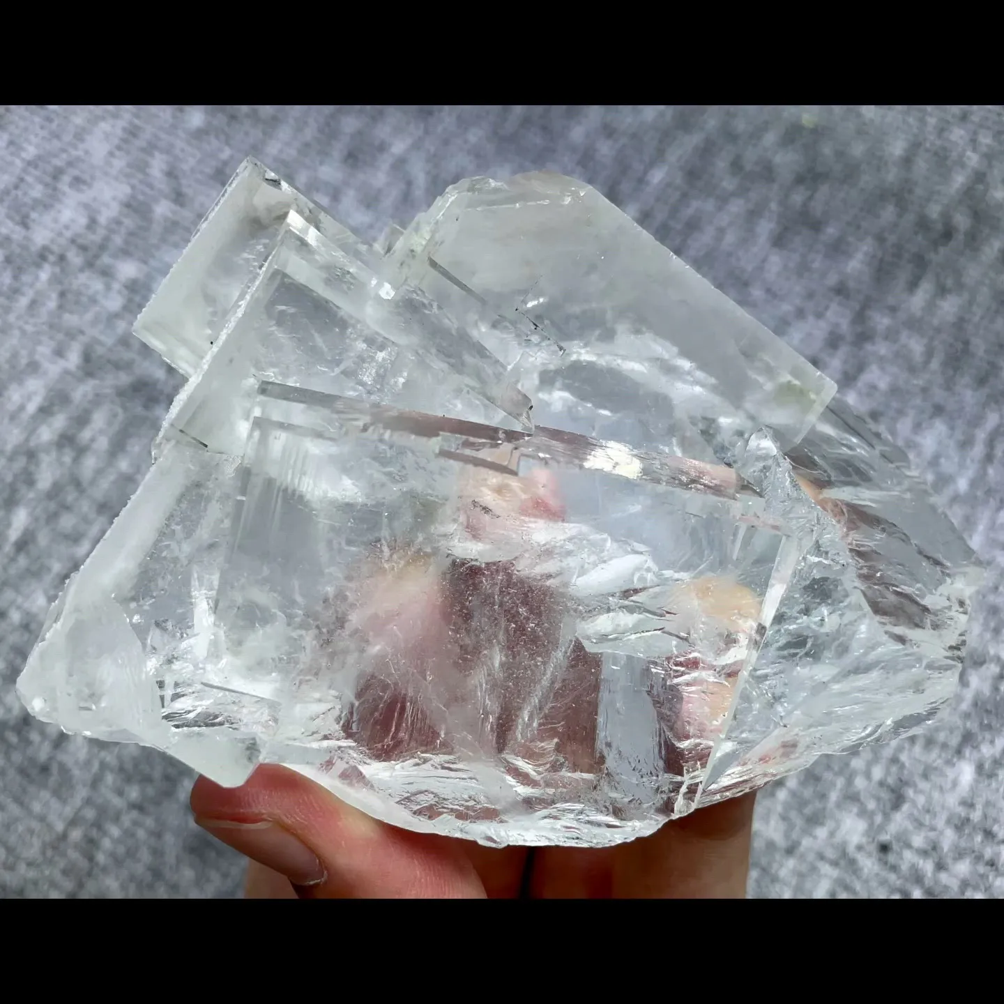 specimen video
