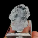 specimen video
