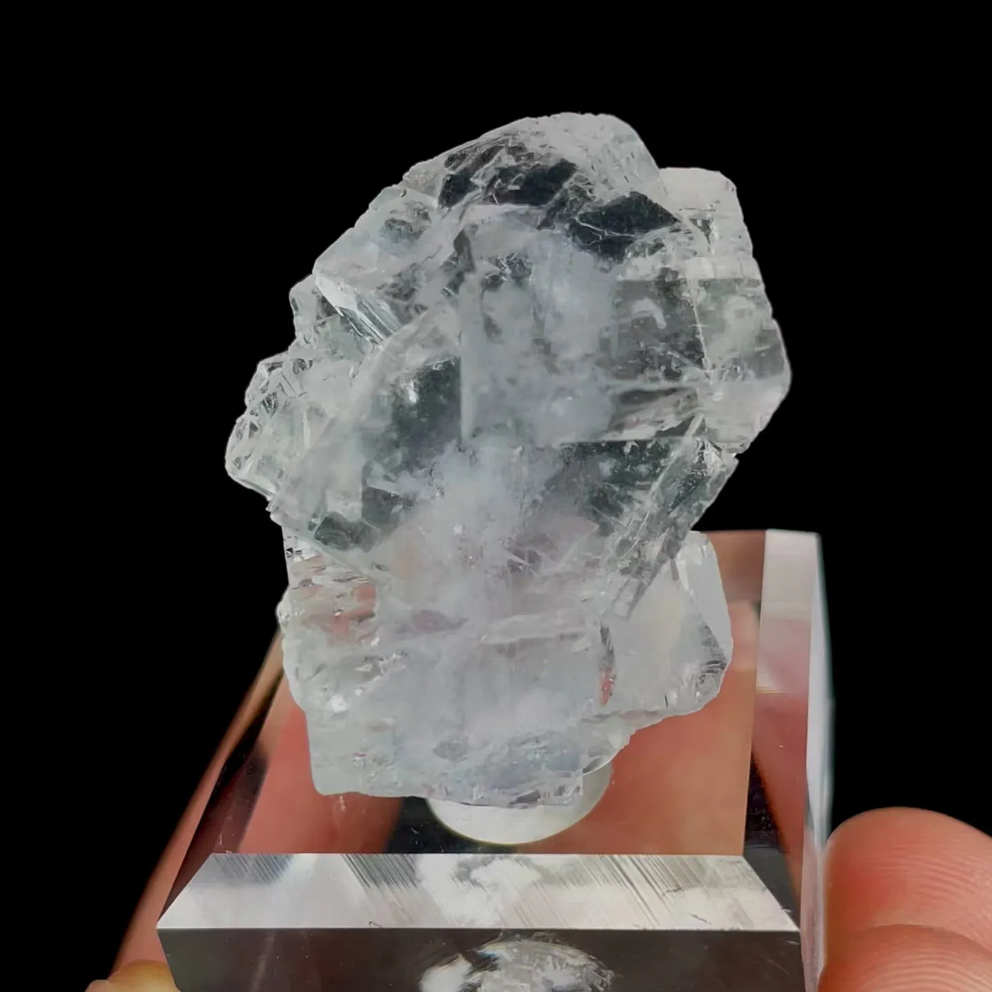 specimen video