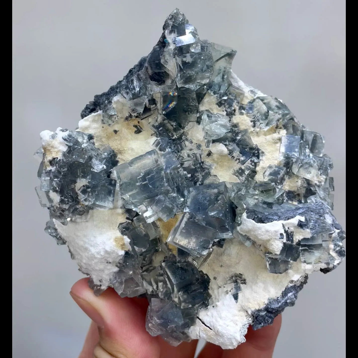 specimen video