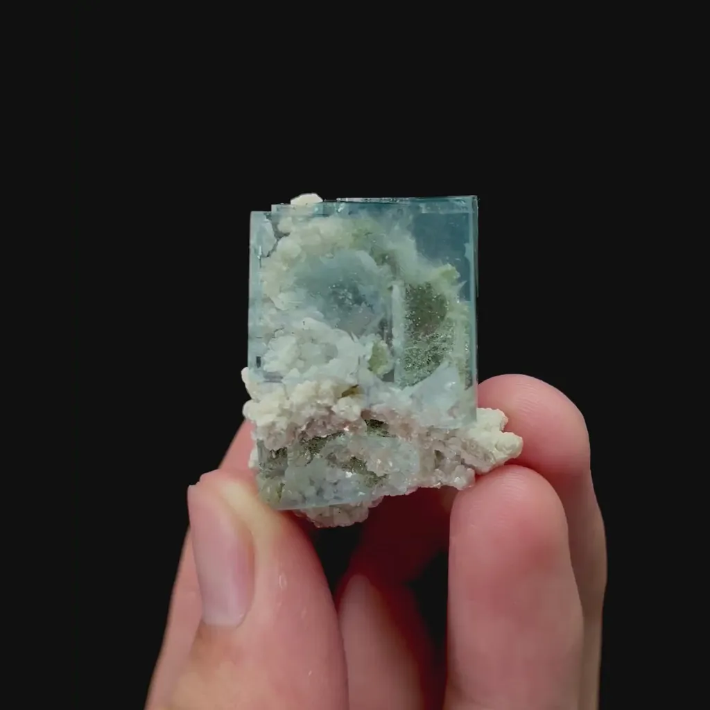 specimen video