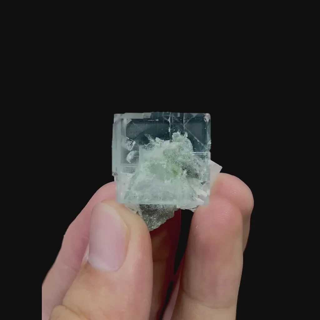 specimen video