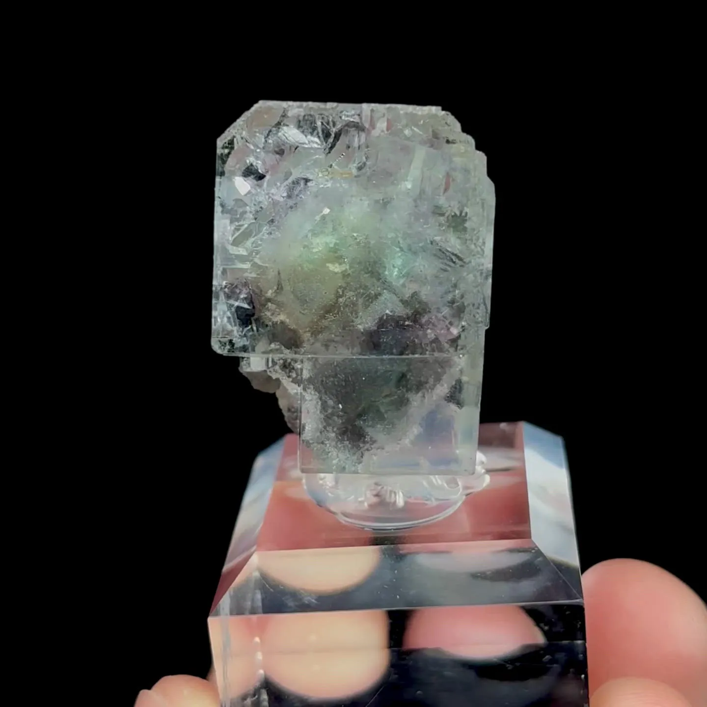 specimen video