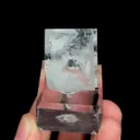 specimen video