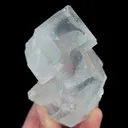 specimen video