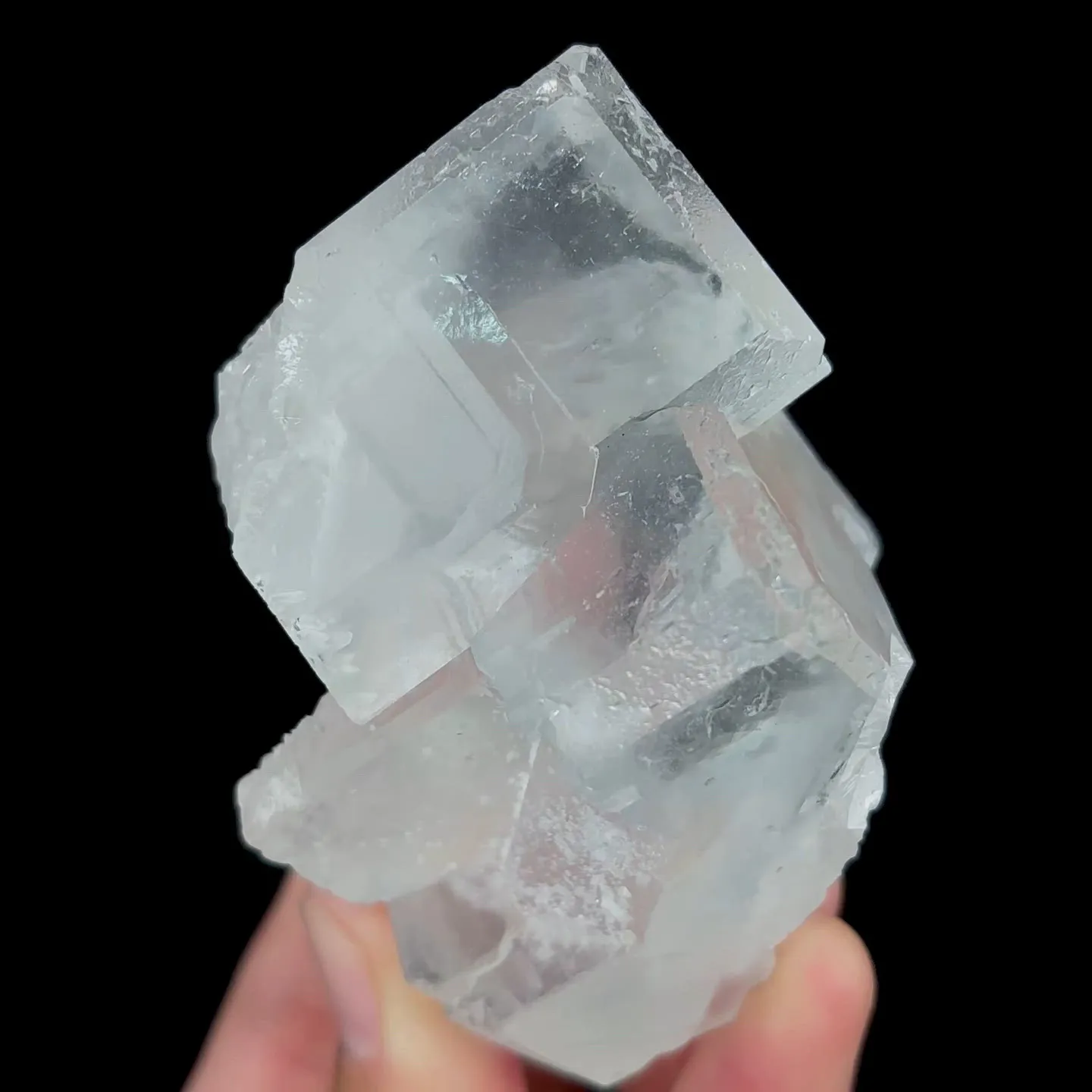 specimen video