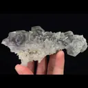 specimen video