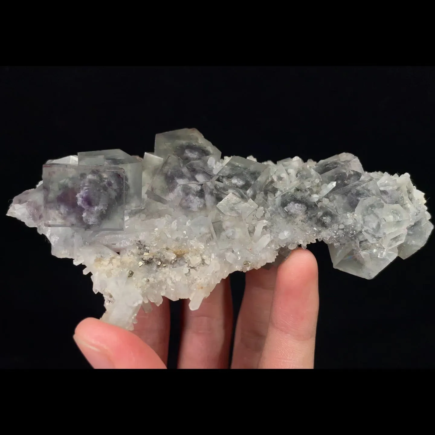 specimen video