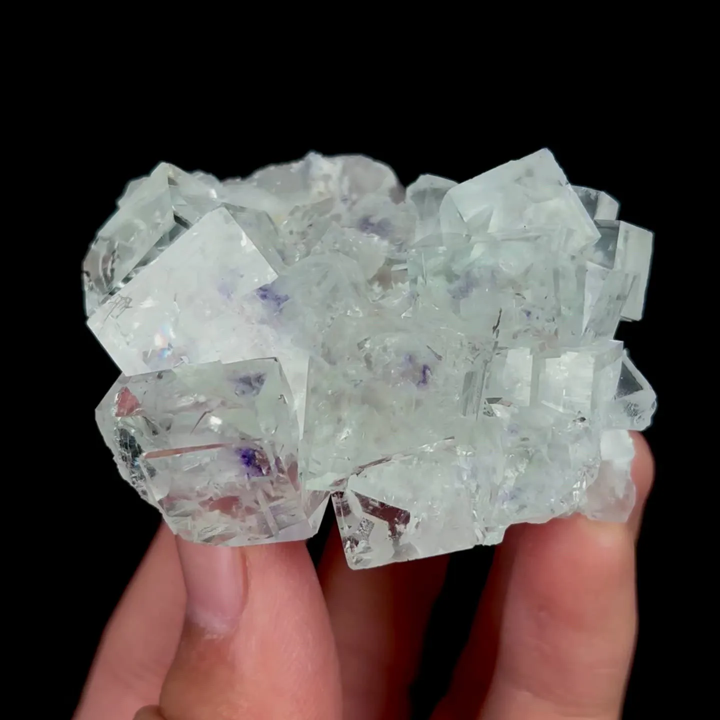 specimen video