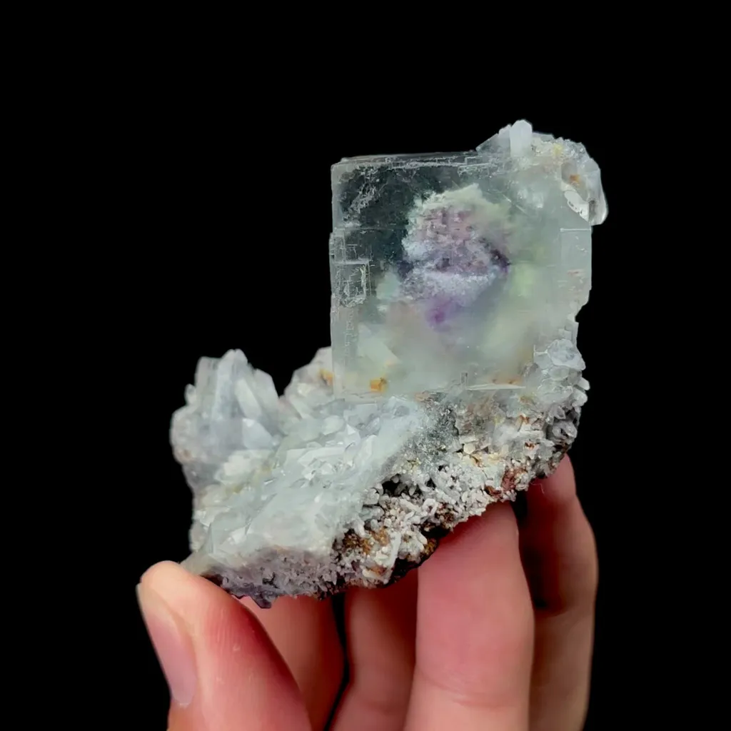 specimen video