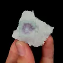 specimen video