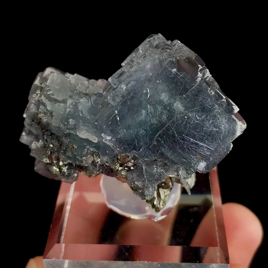specimen video