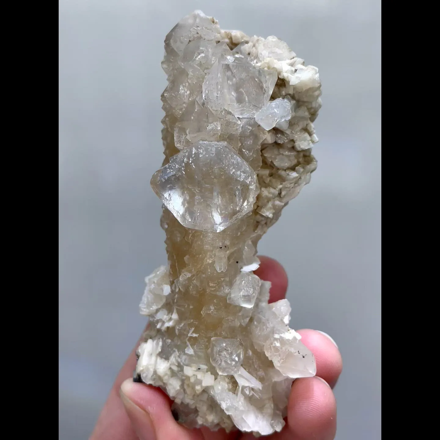 specimen video