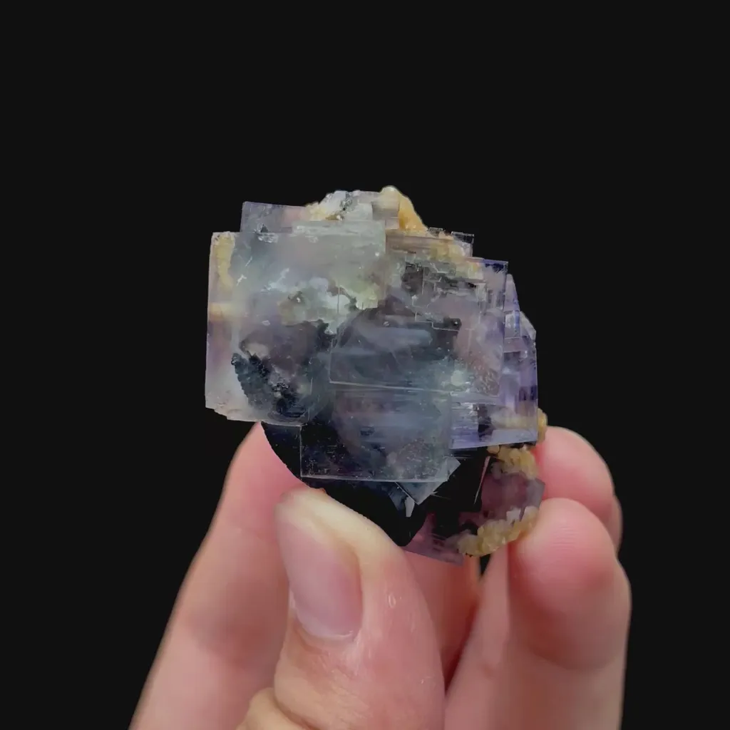 specimen video