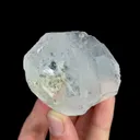 specimen video