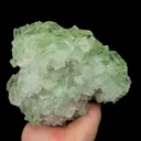 specimen video