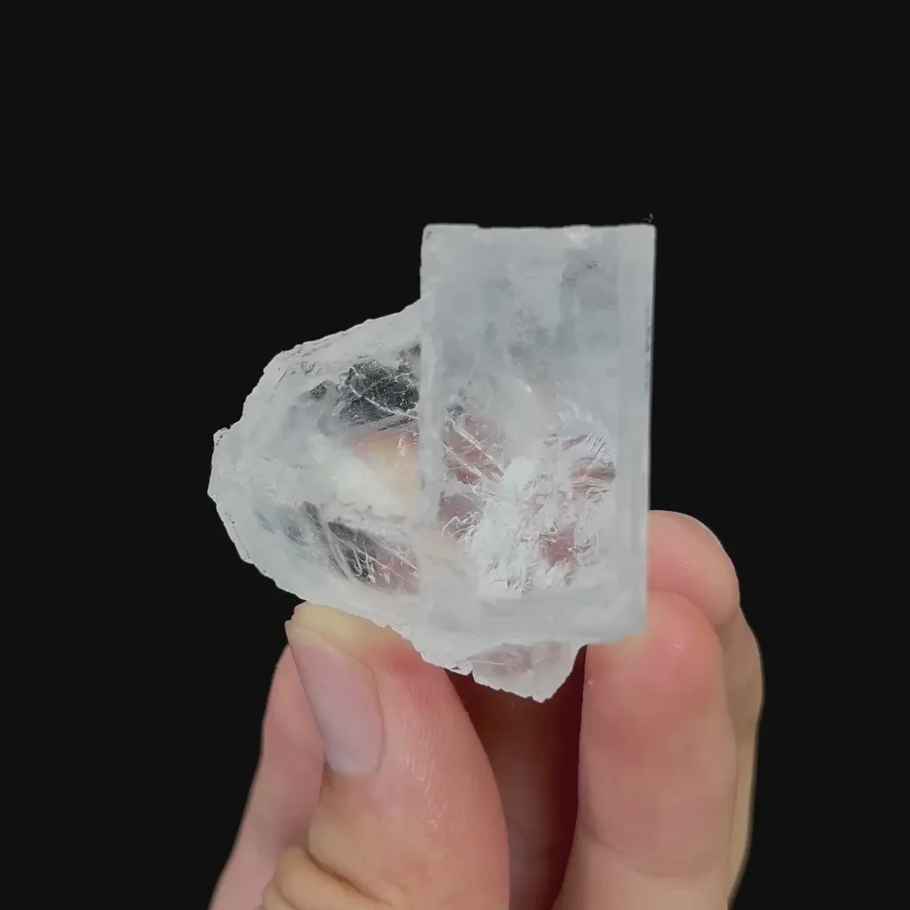specimen video