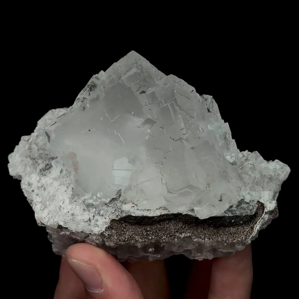 specimen video