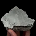 specimen video