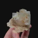 specimen video